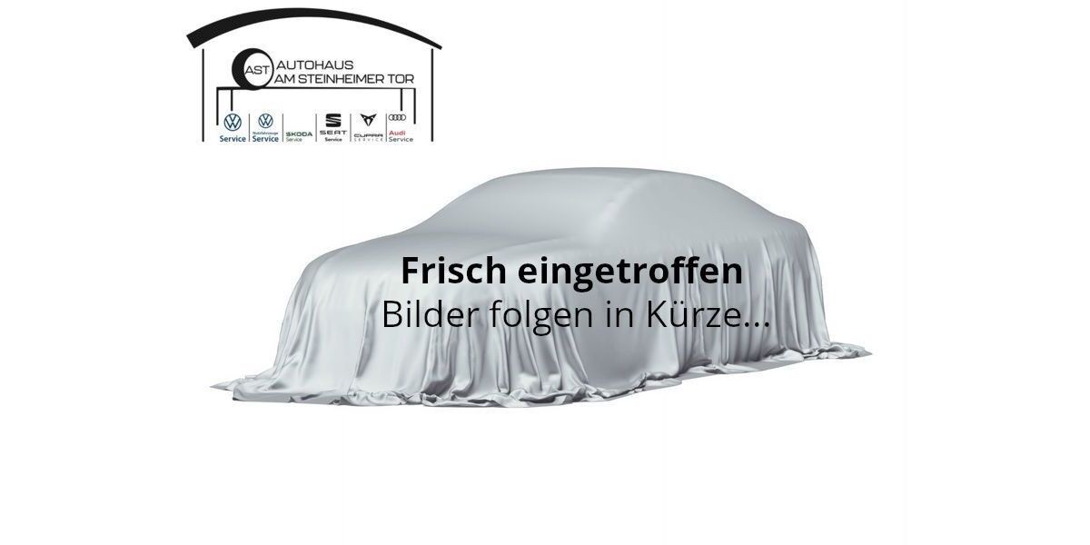 VW Passat 41.961 km 33.890 &euro; Hanau 63450
