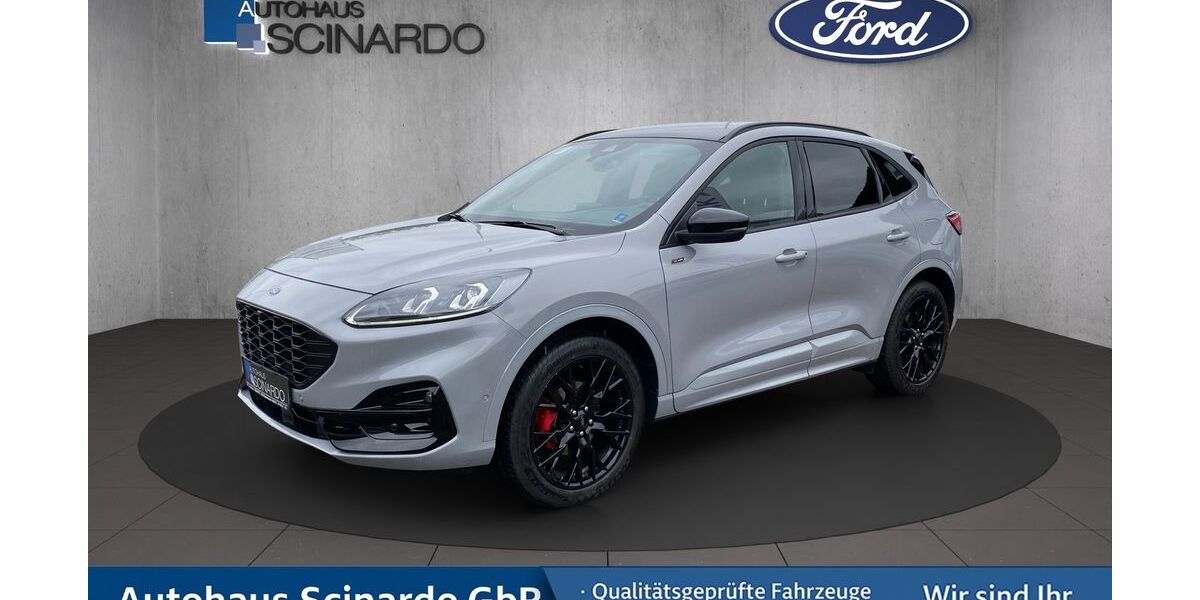 Ford Kuga 9.000 km 29.980 &euro; Babenhausen 64832